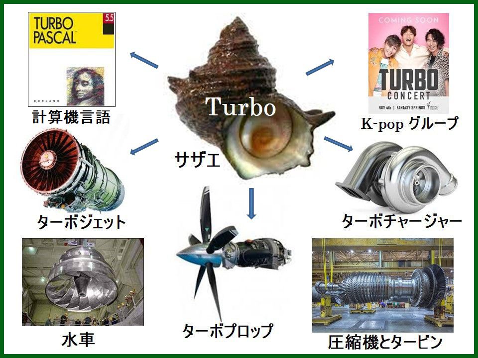 おとなへの設計図　手をつなぐ中学生の本生きる力を育てるトレーニングブック小出湧三